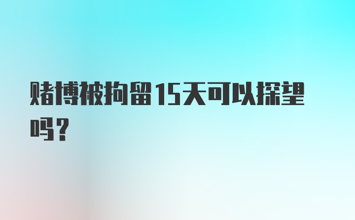 赌博被拘留15天可以探望吗？