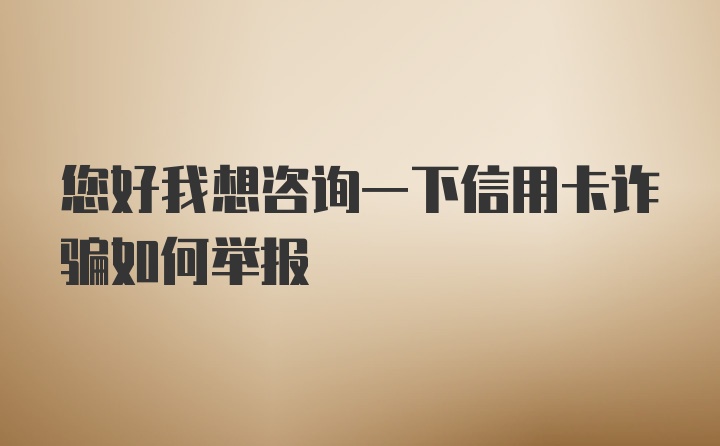 您好我想咨询一下信用卡诈骗如何举报