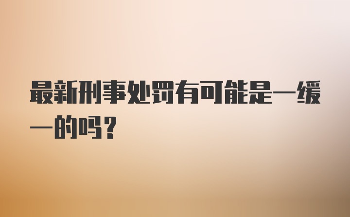 最新刑事处罚有可能是一缓一的吗?