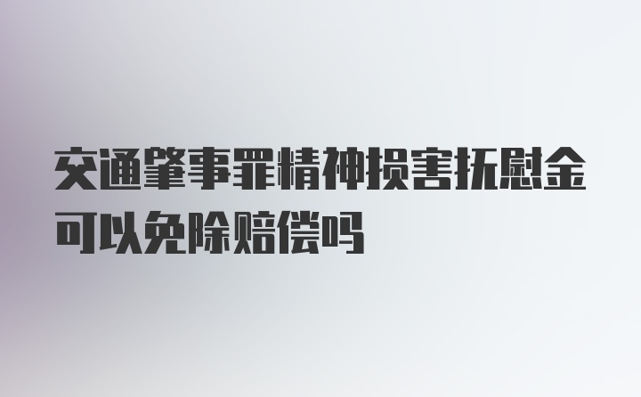 交通肇事罪精神损害抚慰金可以免除赔偿吗