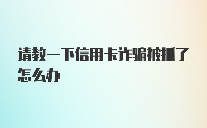 请教一下信用卡诈骗被抓了怎么办