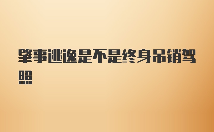 肇事逃逸是不是终身吊销驾照