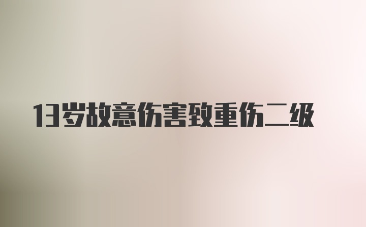 13岁故意伤害致重伤二级