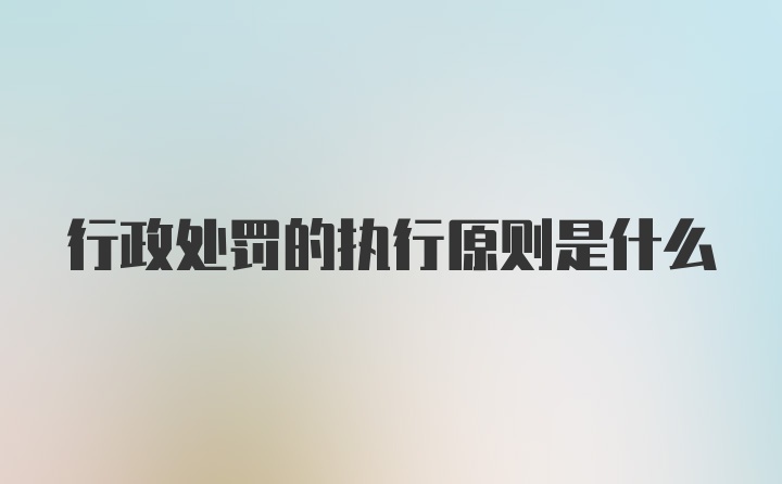 行政处罚的执行原则是什么