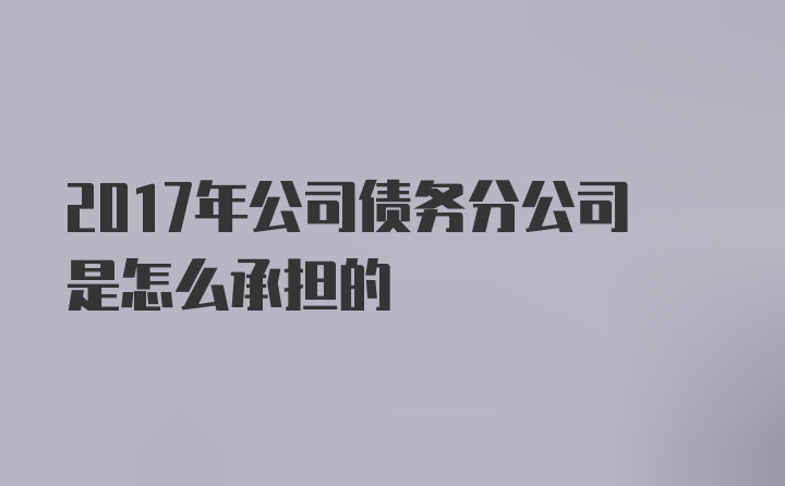 2017年公司债务分公司是怎么承担的