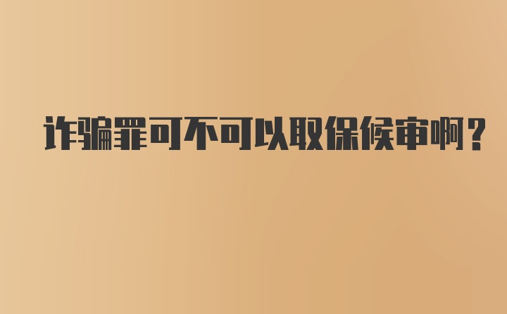 诈骗罪可不可以取保候审啊？