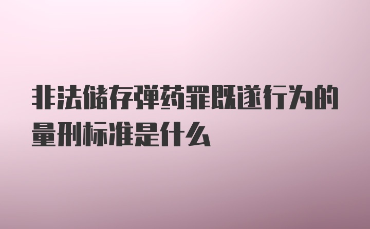 非法储存弹药罪既遂行为的量刑标准是什么