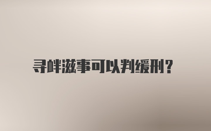 寻衅滋事可以判缓刑？