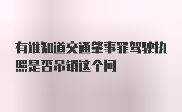 有谁知道交通肇事罪驾驶执照是否吊销这个问