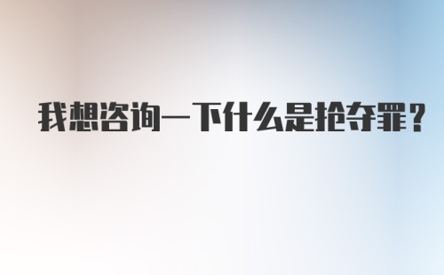 我想咨询一下什么是抢夺罪?