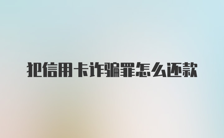 犯信用卡诈骗罪怎么还款