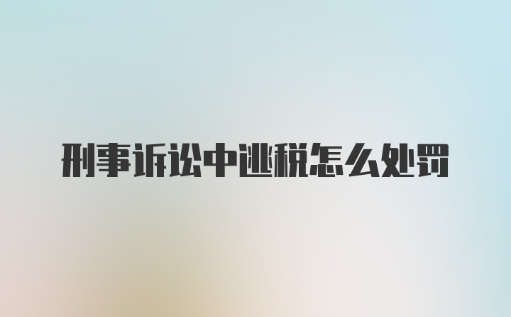 刑事诉讼中逃税怎么处罚