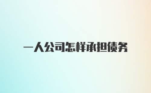 一人公司怎样承担债务