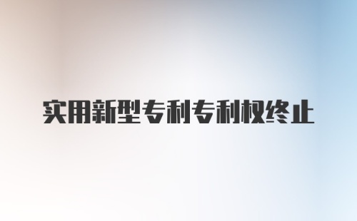 实用新型专利专利权终止