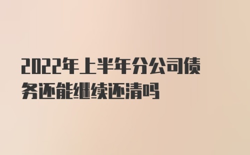 2022年上半年分公司债务还能继续还清吗