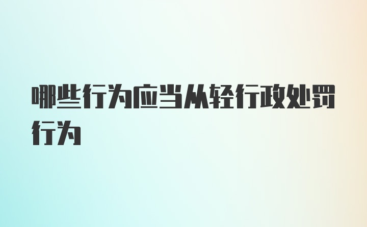 哪些行为应当从轻行政处罚行为