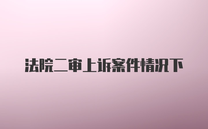 法院二审上诉案件情况下