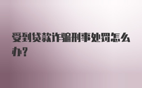 受到贷款诈骗刑事处罚怎么办？