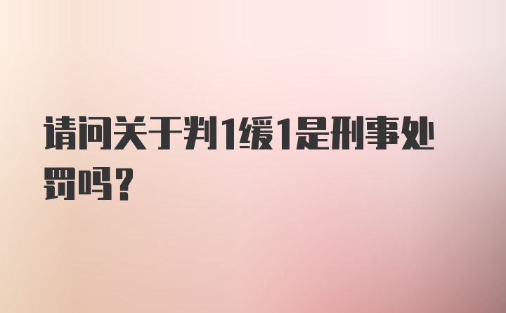 请问关于判1缓1是刑事处罚吗？