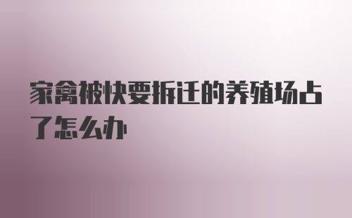 家禽被快要拆迁的养殖场占了怎么办