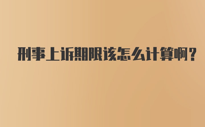 刑事上诉期限该怎么计算啊？