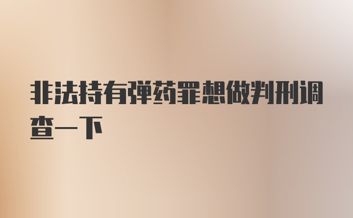 非法持有弹药罪想做判刑调查一下