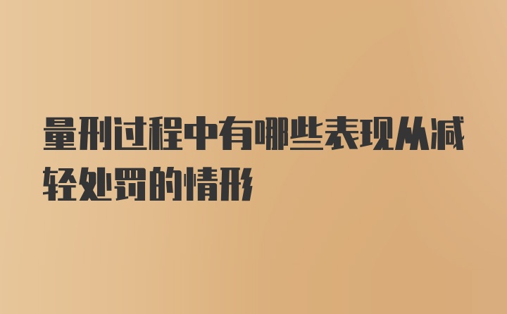 量刑过程中有哪些表现从减轻处罚的情形