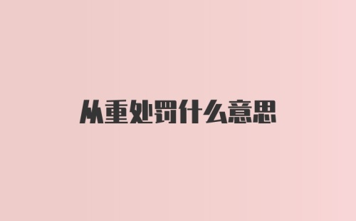 从重处罚什么意思