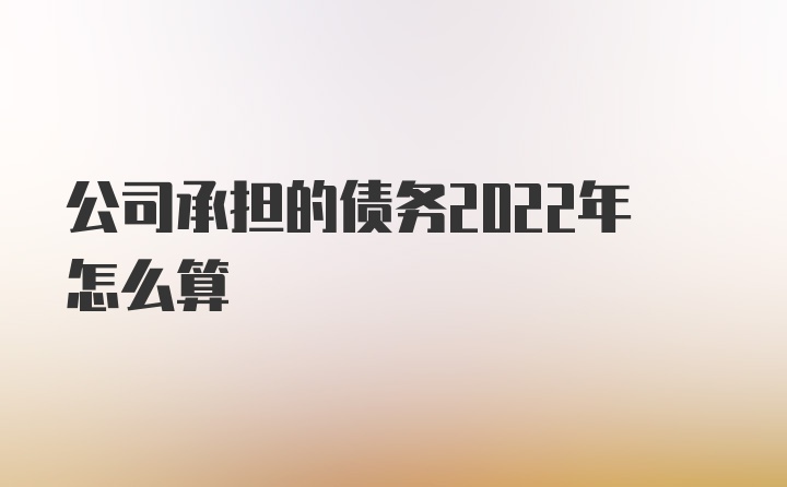 公司承担的债务2022年怎么算