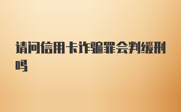 请问信用卡诈骗罪会判缓刑吗