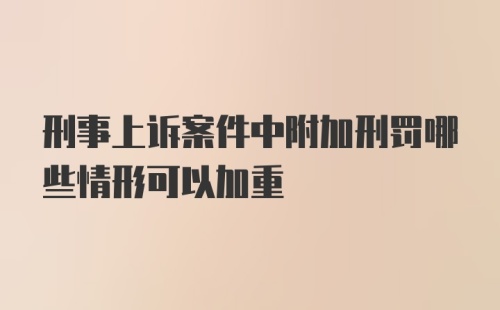 刑事上诉案件中附加刑罚哪些情形可以加重