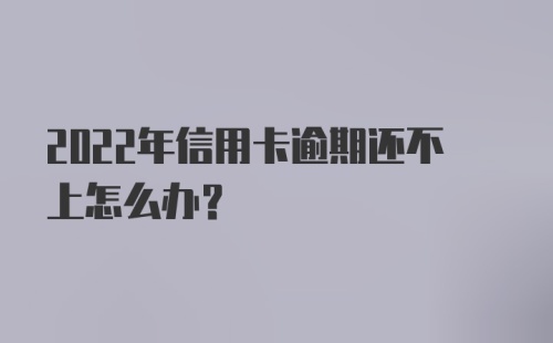 2022年信用卡逾期还不上怎么办？