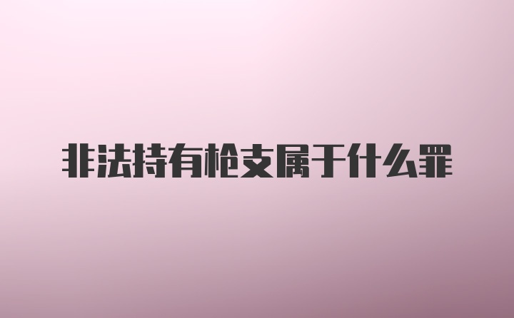 非法持有枪支属于什么罪