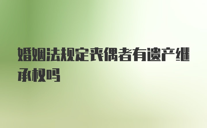 婚姻法规定丧偶者有遗产继承权吗