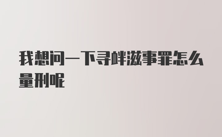 我想问一下寻衅滋事罪怎么量刑呢