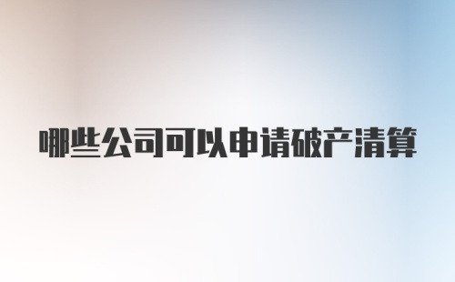 哪些公司可以申请破产清算