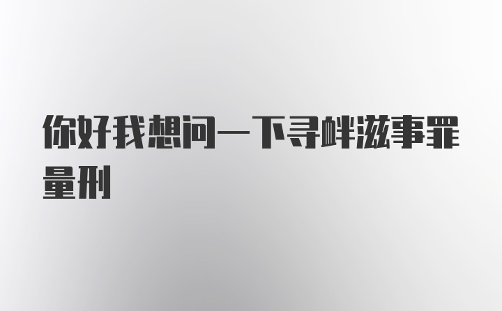 你好我想问一下寻衅滋事罪量刑