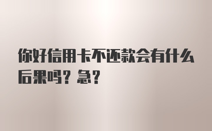 你好信用卡不还款会有什么后果吗？急?