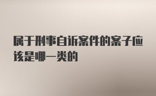 属于刑事自诉案件的案子应该是哪一类的