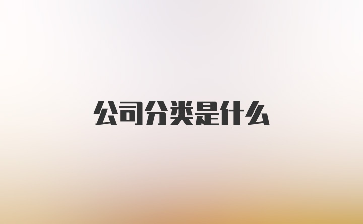 公司分类是什么