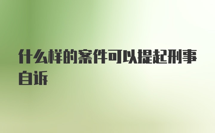 什么样的案件可以提起刑事自诉