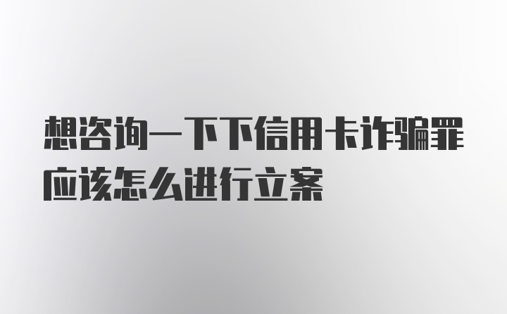 想咨询一下下信用卡诈骗罪应该怎么进行立案