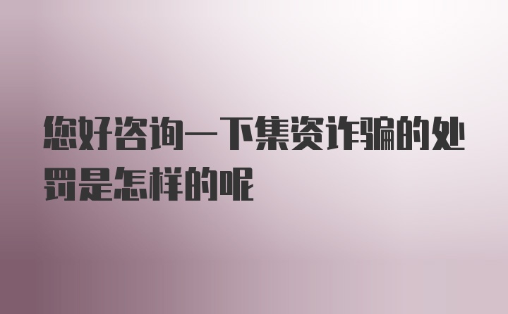 您好咨询一下集资诈骗的处罚是怎样的呢