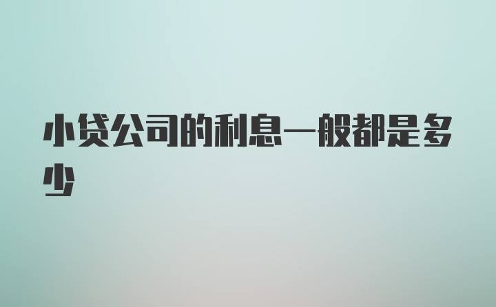 小贷公司的利息一般都是多少