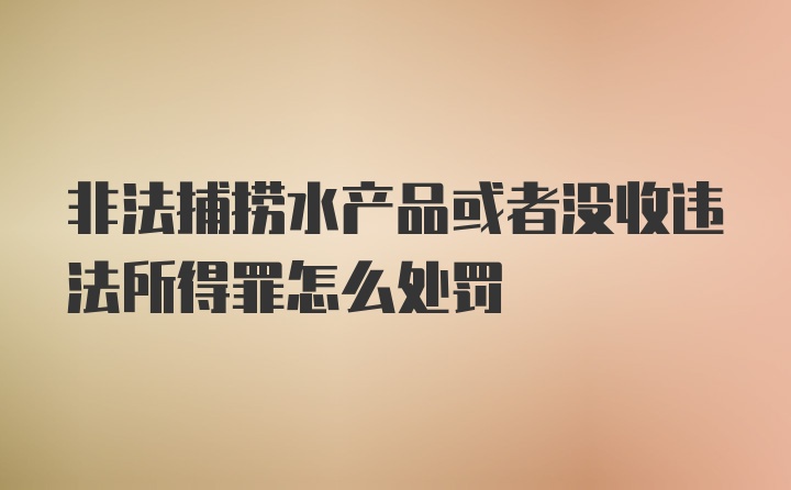 非法捕捞水产品或者没收违法所得罪怎么处罚