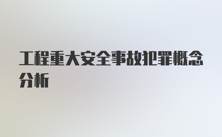 工程重大安全事故犯罪概念分析