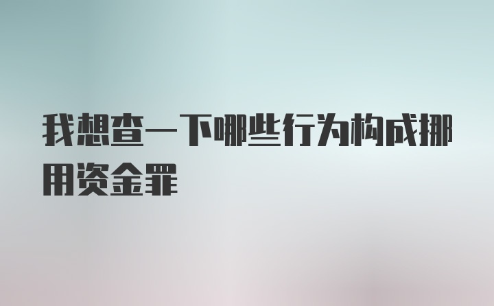 我想查一下哪些行为构成挪用资金罪