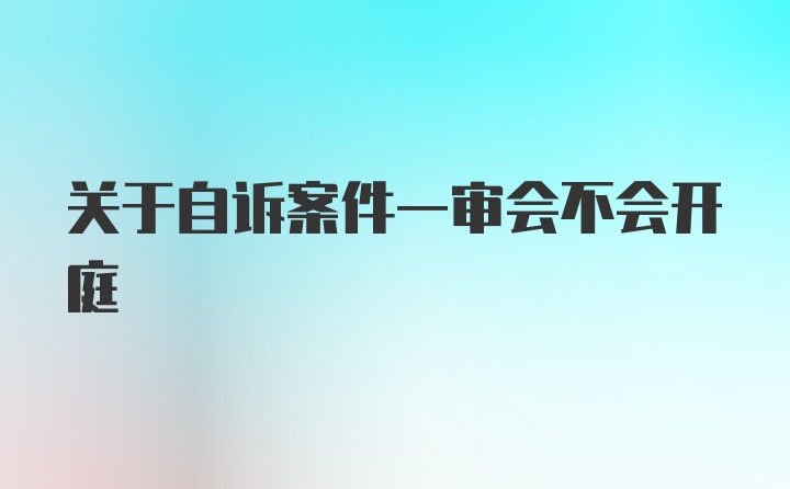 关于自诉案件一审会不会开庭