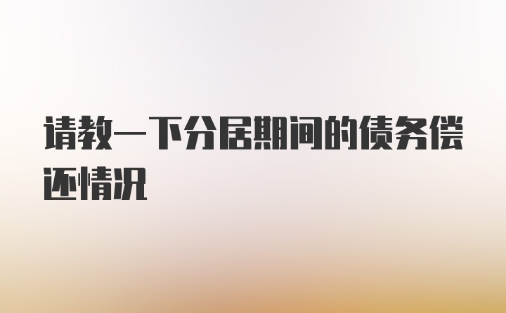 请教一下分居期间的债务偿还情况