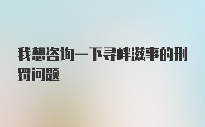 我想咨询一下寻衅滋事的刑罚问题